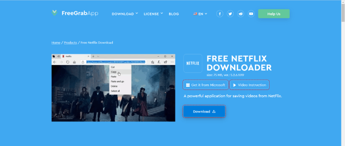 الصفحة الرسمية لبرنامج FreeGrabApp Netflix Downloader