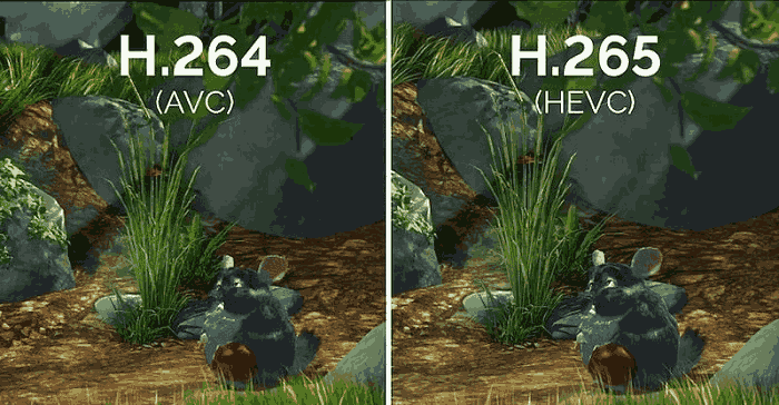 H.264 VS. H.265 - Which Is Better