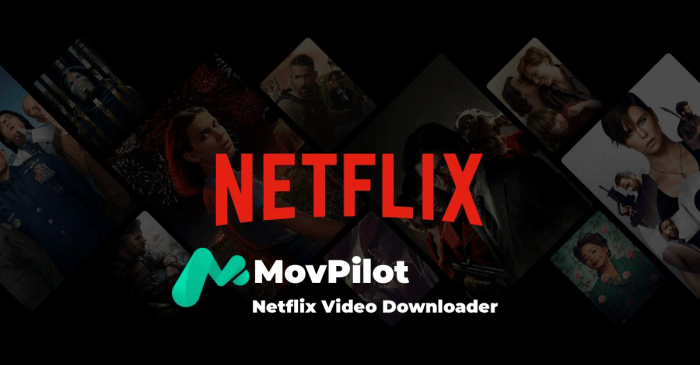 Movpilot Netflix Video Downloader