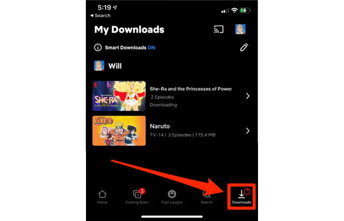 Downloads in Netflix iOS App