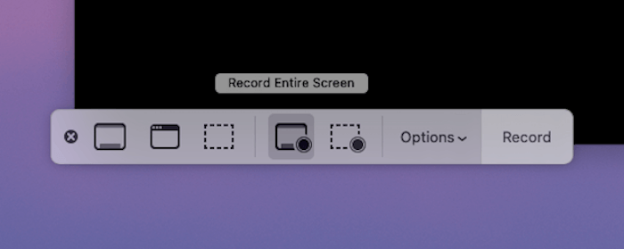 Screen Record Options